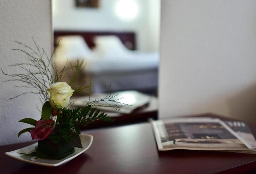 스탠다드 룸, Hôtel Restaurant Au Lion D Or