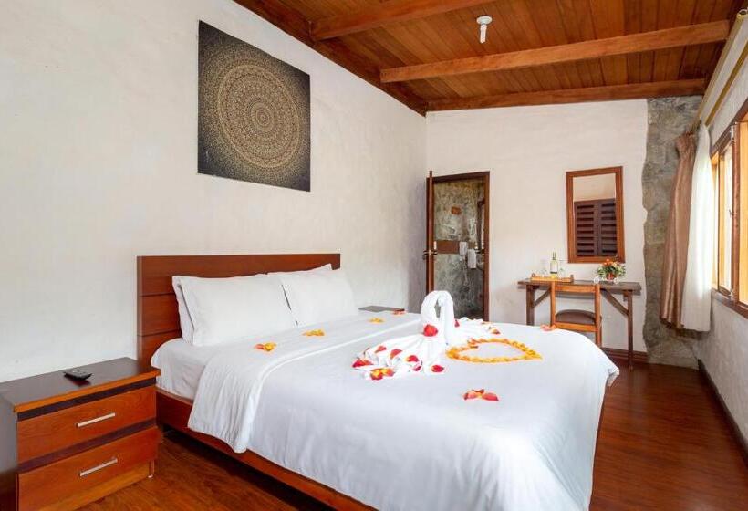 标准间, Napolitano Apart