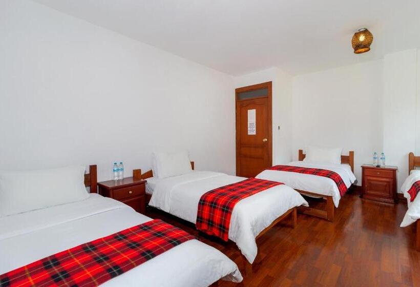 四人标准间, Napolitano Apart