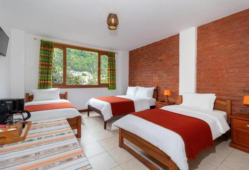 四人标准间, Napolitano Apart