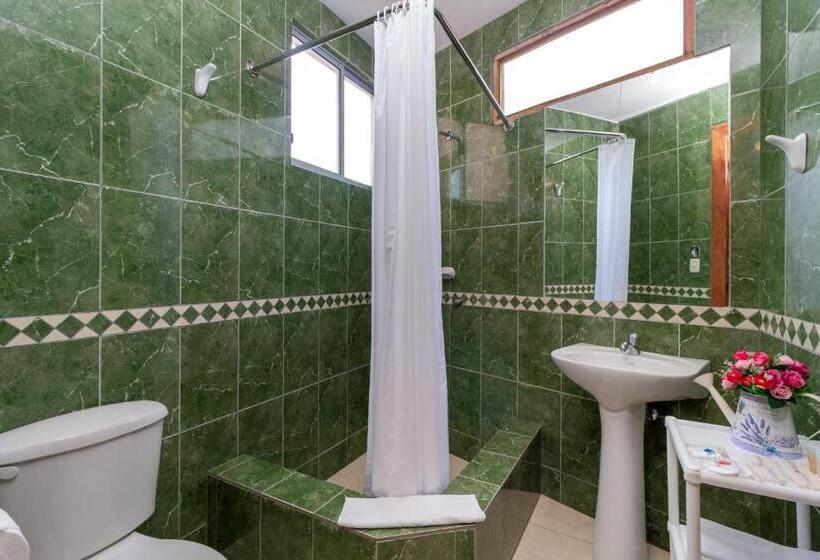 四人标准间, Napolitano Apart