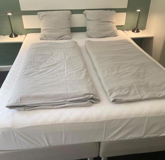 Семейный Полулюкс, Motel Rovli