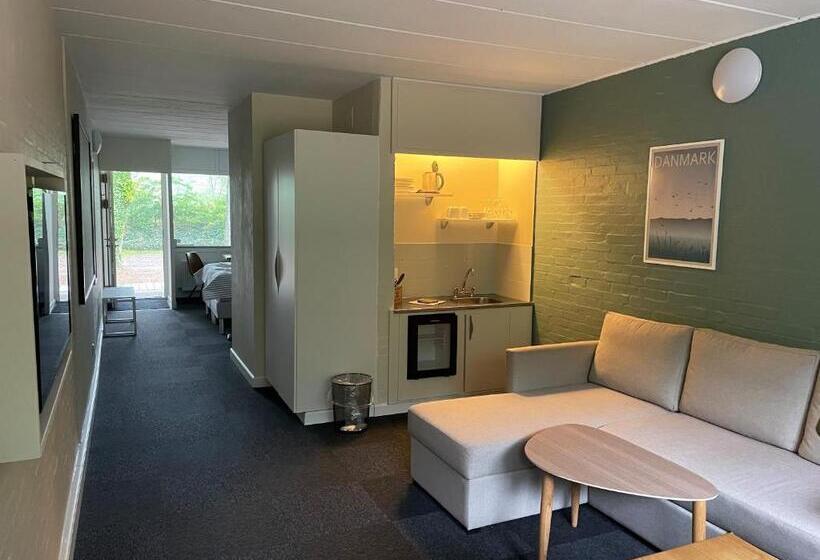 Семейный Полулюкс, Motel Rovli