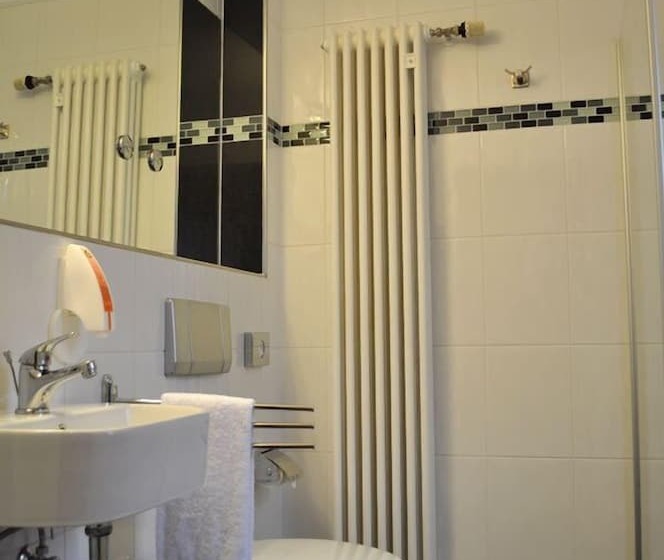 스탠다드 싱글 룸, Schlosshotel Landstuhl