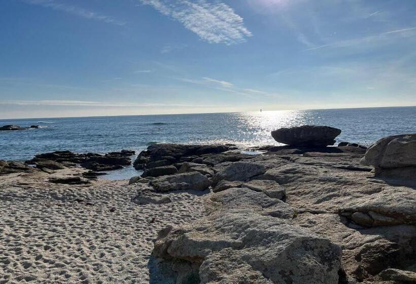 豪华海景房, Rose D écumes