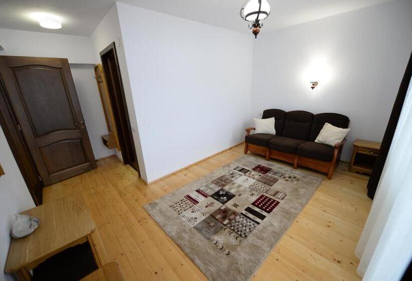 침실 1개 발코니 아파트, Pensiunea Arinas