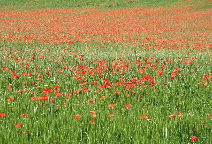 一居室别墅, Gîte Et Chambre D Hôte