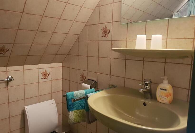 标准间, Hausnordlicht Dachspitze