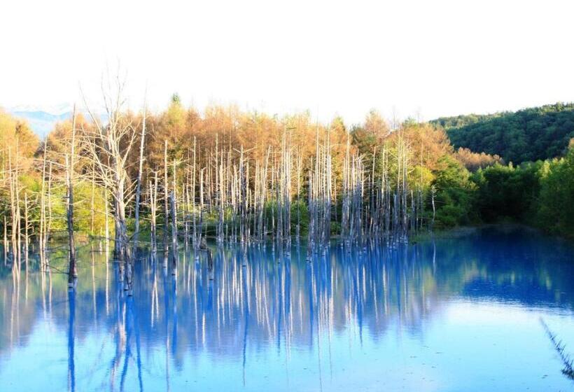 إستوديو قياسى, Furano   Hotel / Vacation Stay 35781