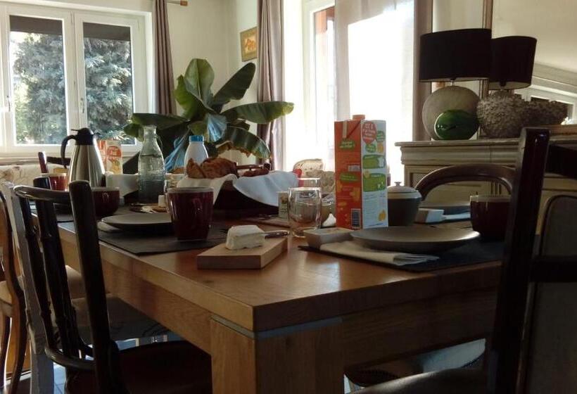 إستوديو قياسى, Marcia Donatti   A L Ombre Des Coteaux Sao Paulo