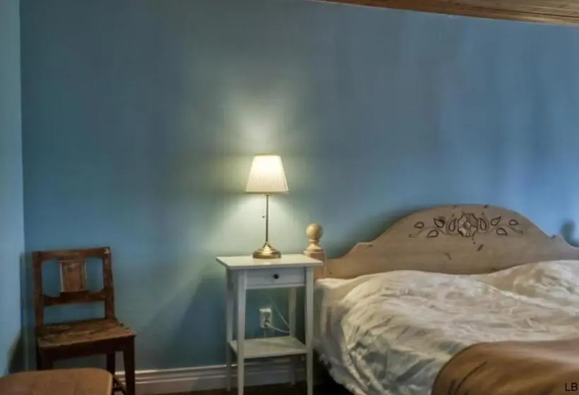 Standard-huone Jaettu Kylpyhuone, Apelviksgården B&b