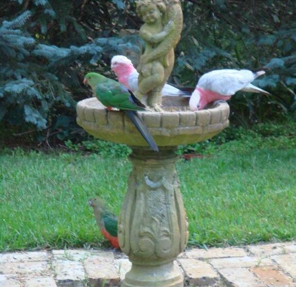 בקתה, Southdown Cottage