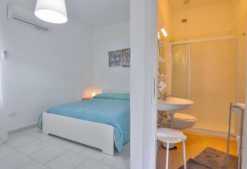 Номер Стандарт, Delfa