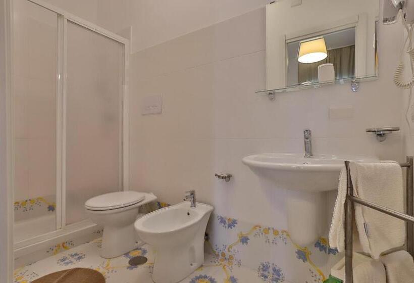 Номер Стандарт, Delfa