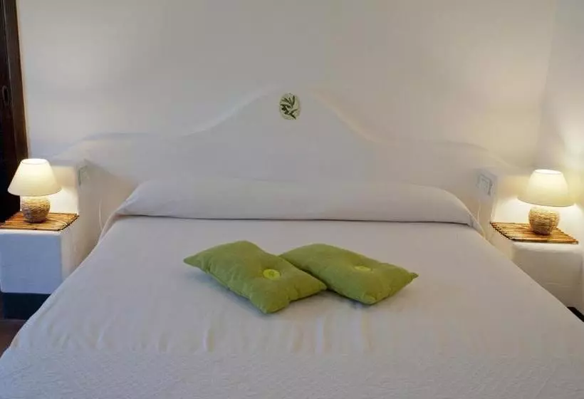 Habitació Estàndard, Nascar