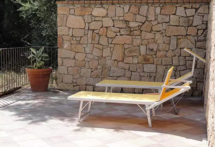 Habitació Deluxe amb Terrassa, Nascar