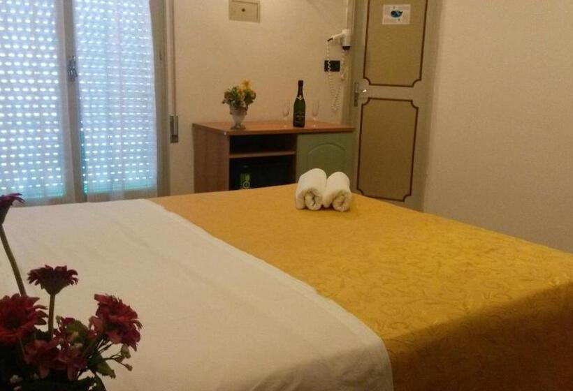 Camera Economy, Orchidea