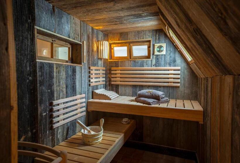 小型套房, Wellness Goldenes Fass Meißen