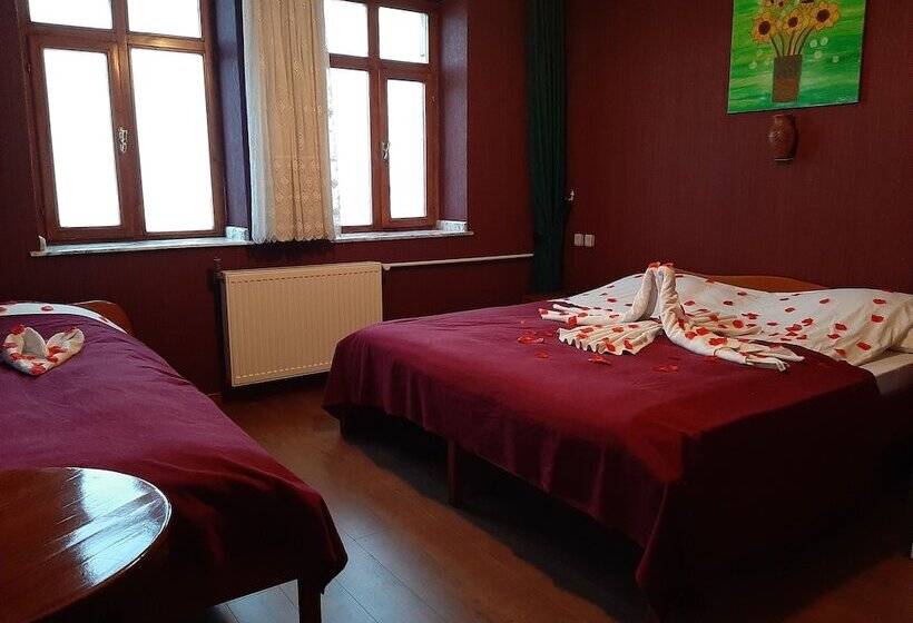 غرفة قياسية, Kapadokya Stonelake Hotel