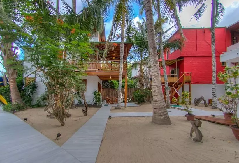 اتاق استاندارد, La Casa de Marita