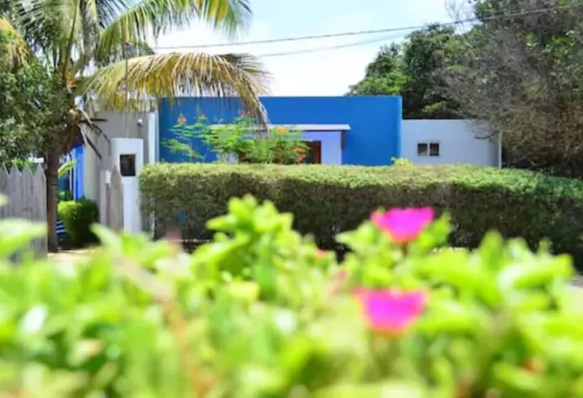 اتاق استاندارد, La Casa de Marita