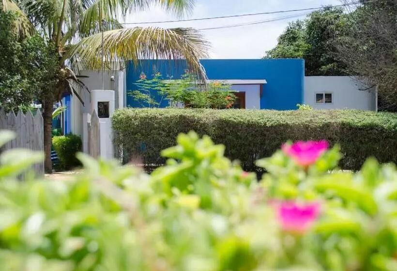 اتاق استاندارد, La Casa de Marita