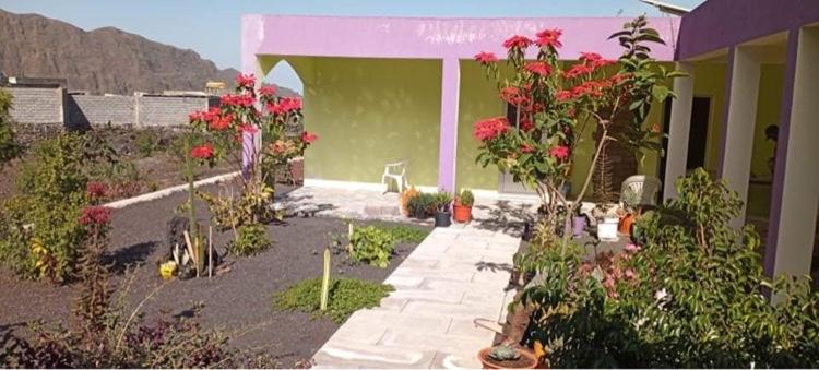 اتاق استاندارد, Casa Helena