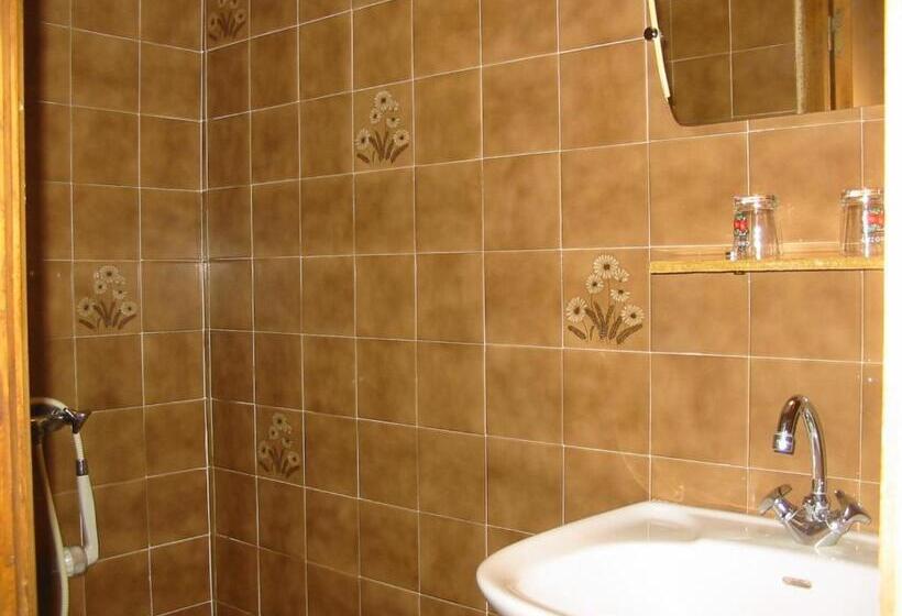 חדר סטנדרד יחיד חדר אמבטיה משותף, Auberge Du Meygal