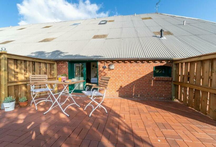 اتاق استاندارد با تراس, Insel Land Hotel Michaelsen Im Ostland