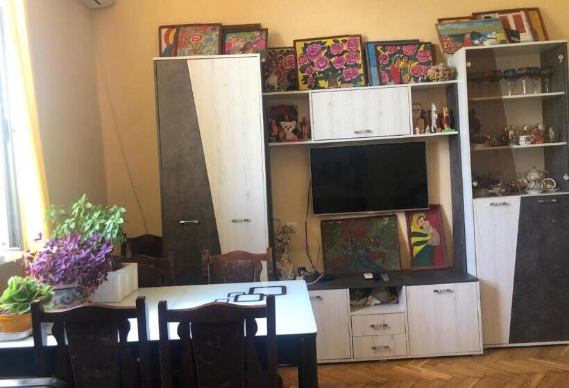 اتاق استاندارد با چشم‌انداز باغ, Karson Family Hostel & Guest House