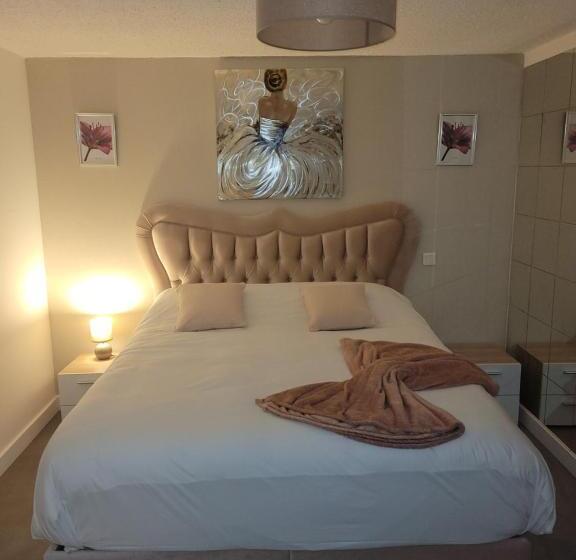 Superior Room, Astrotel Romorantin Lanthenay Soirée étape