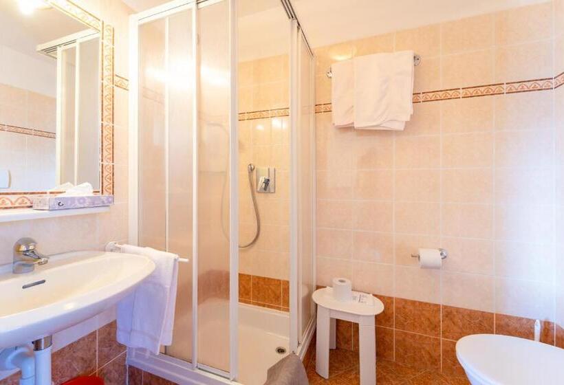 标准单人间, Berg Hotel Latemar Spitze