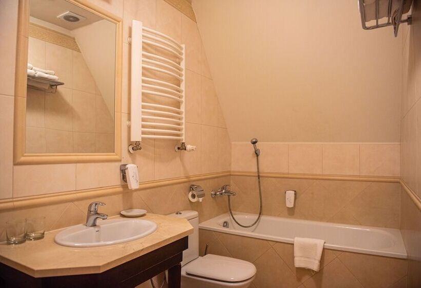 חדר סטודיו סטנדרד, Pałac Paulinum