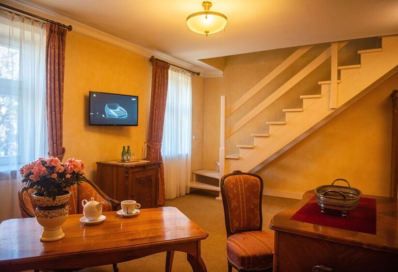 חדר סטודיו סטנדרד, Pałac Paulinum