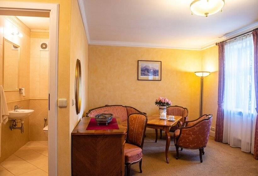 חדר סטודיו סטנדרד, Pałac Paulinum