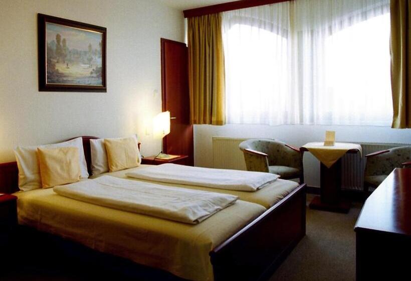 スタンダードルーム, Sandor