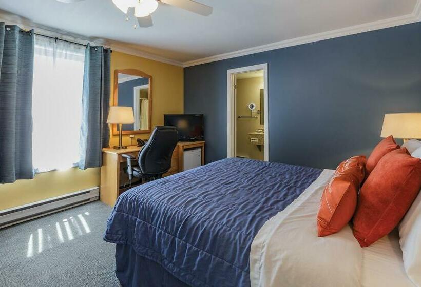 חדר סטנדרט, Motel Au Vieux Piloteux