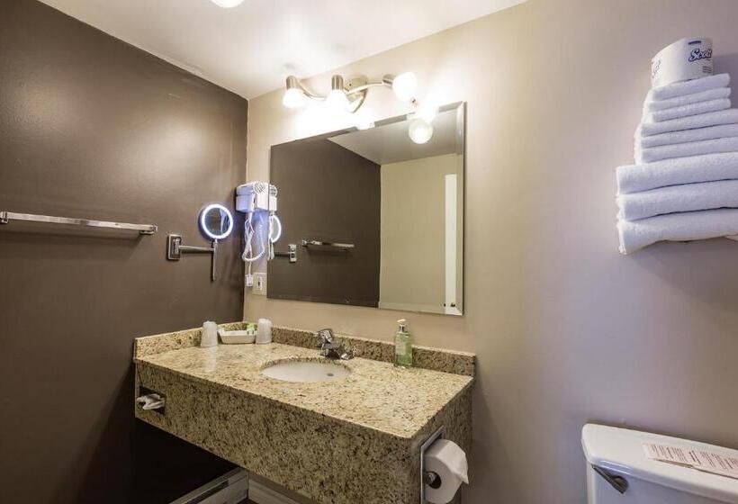 חדר סטנדרט, Motel Au Vieux Piloteux