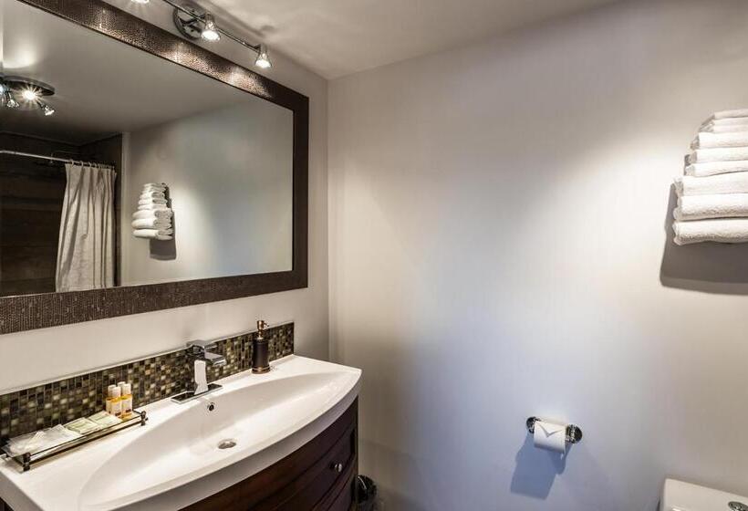 חדר סטנדרט, Motel Au Vieux Piloteux