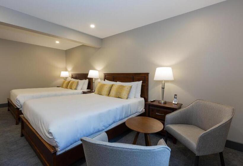 חדר סטנדרט שתי מיטות זוגיות, Motel Au Vieux Piloteux