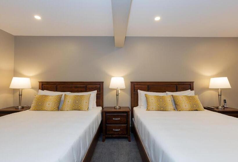 Номер Стандарт 2 Двуспальные Кровати, Motel Au Vieux Piloteux