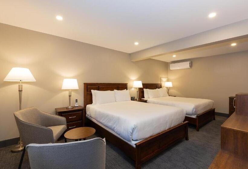 חדר סטנדרט שתי מיטות זוגיות, Motel Au Vieux Piloteux