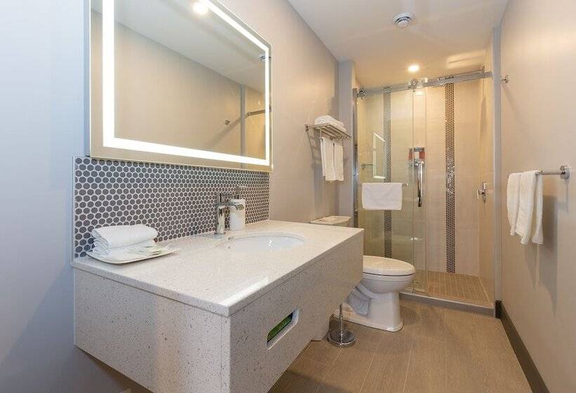 Номер Стандарт 2 Двуспальные Кровати, Motel Au Vieux Piloteux