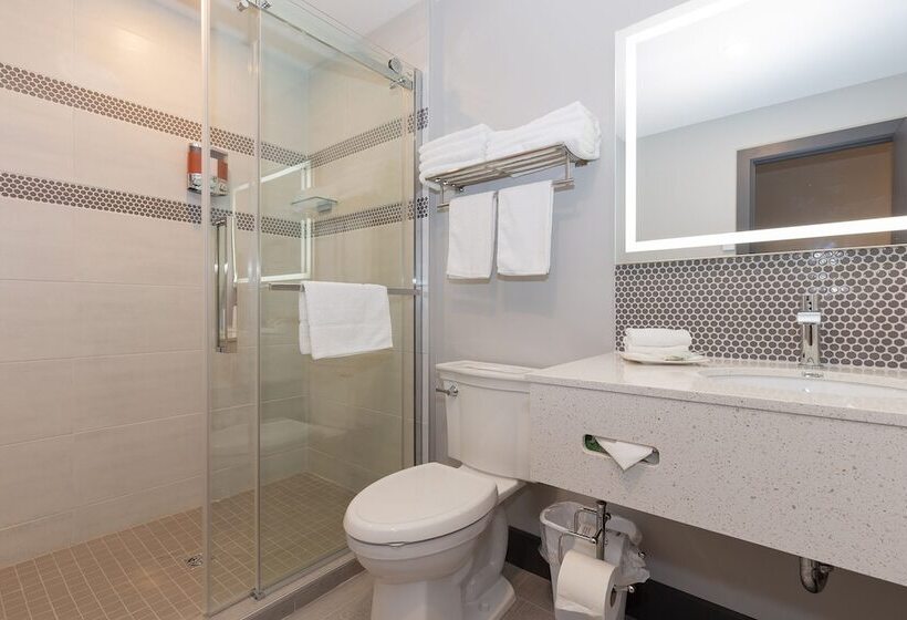 חדר סטנדרט שתי מיטות זוגיות, Motel Au Vieux Piloteux