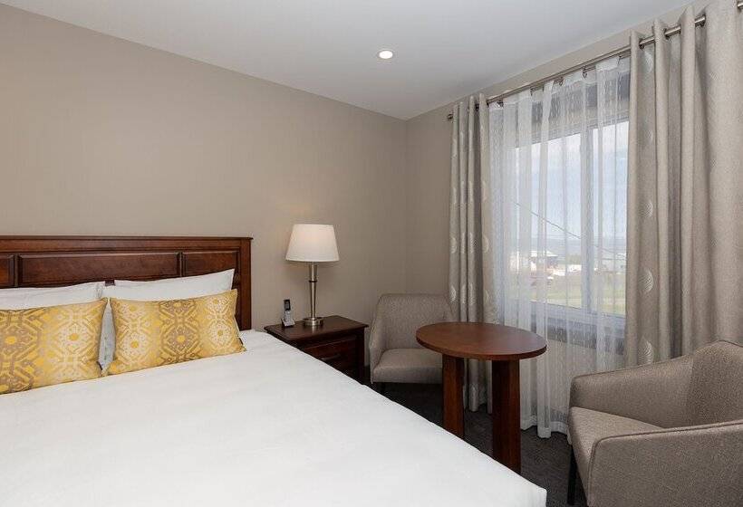 Номер Стандарт 2 Двуспальные Кровати, Motel Au Vieux Piloteux