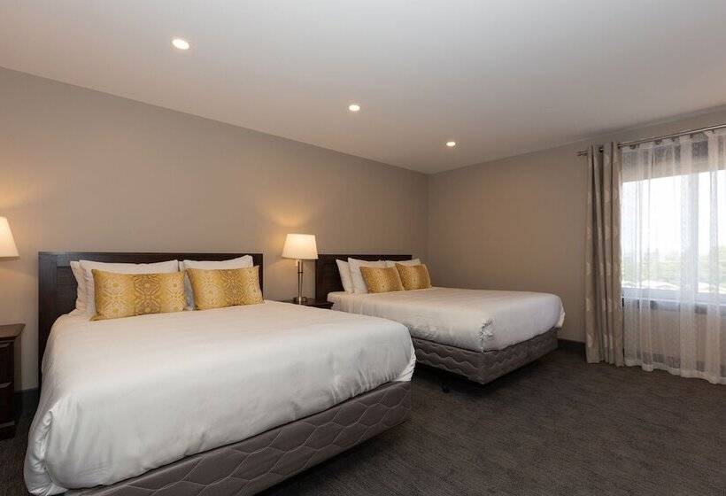 חדר סטנדרט שתי מיטות זוגיות, Motel Au Vieux Piloteux