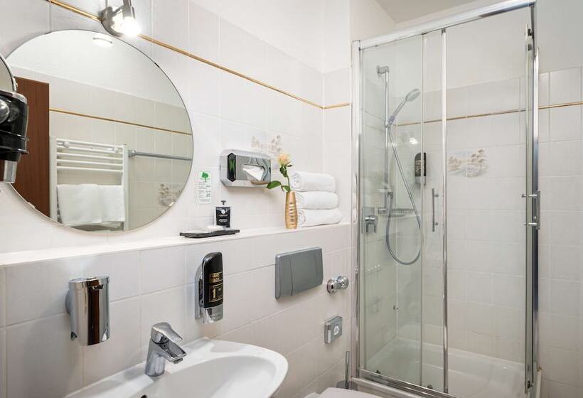 غرفة قياسية ثلاثية, Arthotel Ana Gold