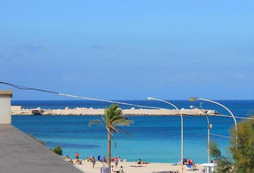 غرفة قياسية مزوَّدة بتراس, Araba Fenice