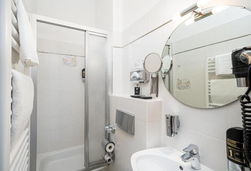 غرفة قياسية فردية, Arthotel Ana Gold