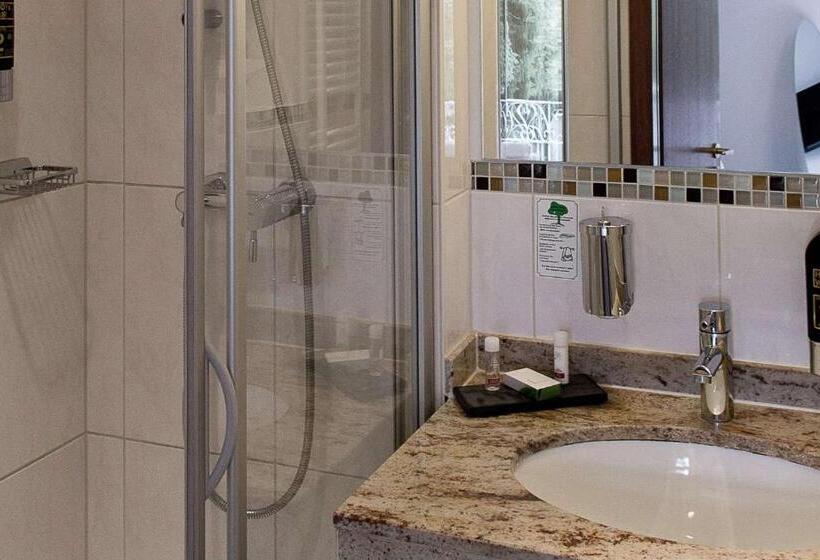 غرفة قياسية ثلاثية, Arthotel Ana Gold